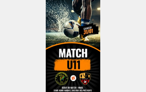 Match U11 : La Ferté-Saint-Aubin 2 - FCJLP
